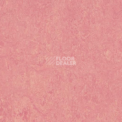 Линолеум Forbo Marmoleum Marbled Real 3268 Honey Suckle фото 1 | FLOORDEALER